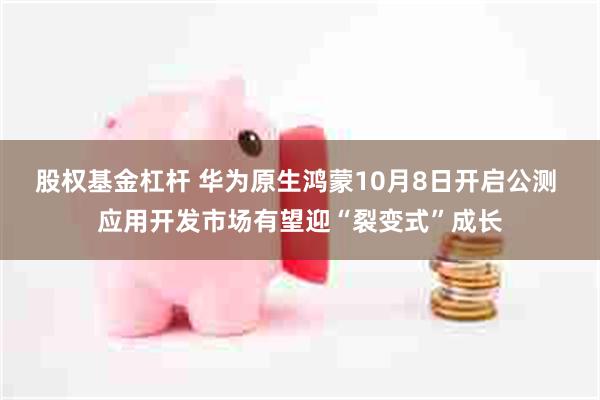 股权基金杠杆 华为原生鸿蒙10月8日开启公测 应用开发市场有望迎“裂变式”成长