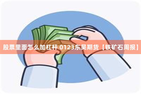 股票里面怎么加杠杆 0123东吴期货【铁矿石周报】