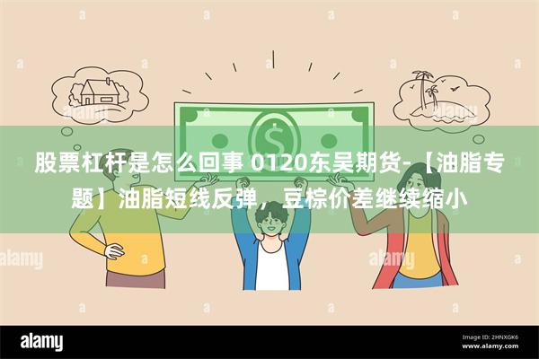 股票杠杆是怎么回事 0120东吴期货-【油脂专题】油脂短线反弹，豆棕价差继续缩小