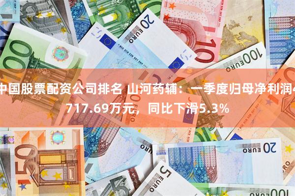 中国股票配资公司排名 山河药辅：一季度归母净利润4717.69万元，同比下滑5.3%