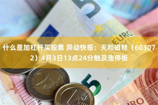 什么是加杠杆买股票 异动快报：天和磁材（603072）4月3日13点24分触及涨停板