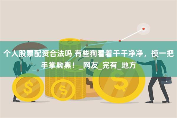 个人股票配资合法吗 有些狗看着干干净净，摸一把手掌黝黑！_网友_完有_地方