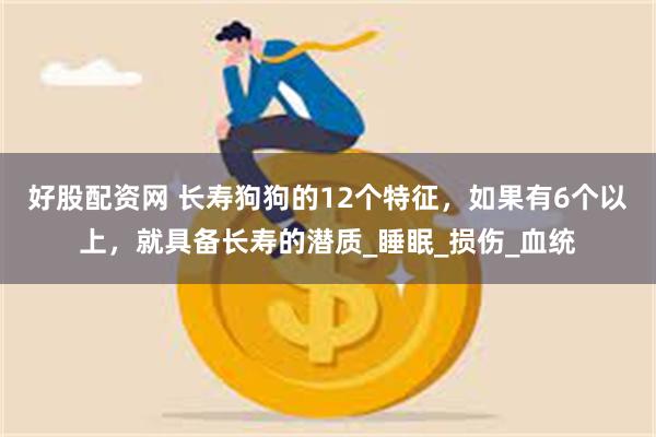 好股配资网 长寿狗狗的12个特征，如果有6个以上，就具备长寿的潜质_睡眠_损伤_血统