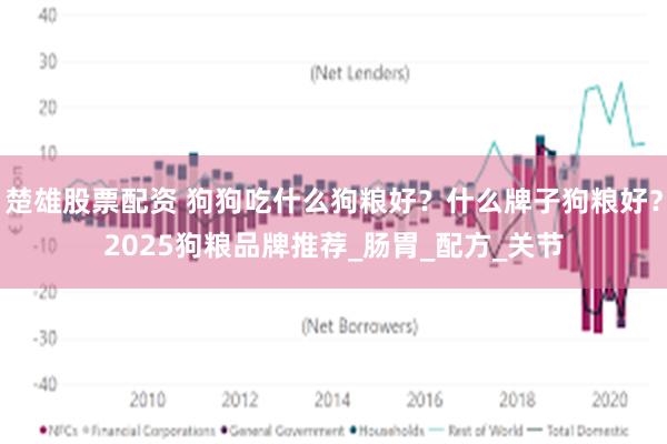 楚雄股票配资 狗狗吃什么狗粮好？什么牌子狗粮好？2025狗粮品牌推荐_肠胃_配方_关节
