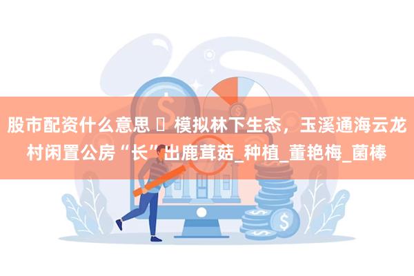 股市配资什么意思 ​模拟林下生态，玉溪通海云龙村闲置公房“长”出鹿茸菇_种植_董艳梅_菌棒