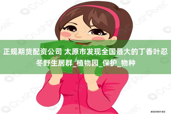正规期货配资公司 太原市发现全国最大的丁香叶忍冬野生居群_植物园_保护_物种