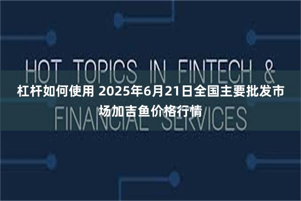 杠杆如何使用 2025年6月21日全国主要批发市场加吉鱼价格行情