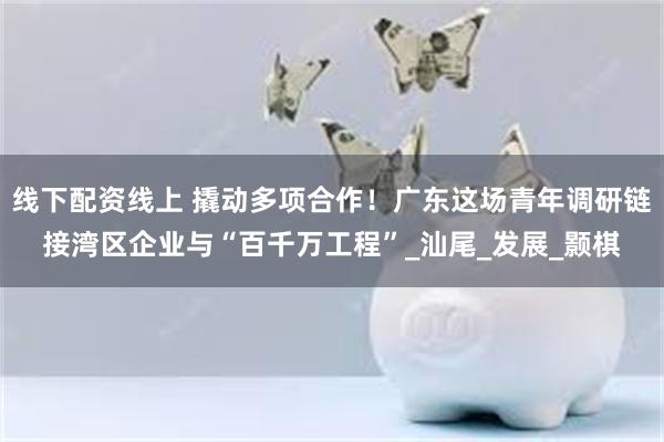 线下配资线上 撬动多项合作！广东这场青年调研链接湾区企业与“百千万工程”_汕尾_发展_颢棋