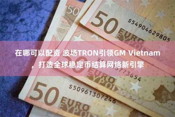 在哪可以配资 波场TRON引领GM Vietnam，打造全球稳定币结算网络新引擎