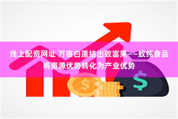 线上配资网址 万亩白莲结出致富果——致纯食品将资源优势转化为产业优势